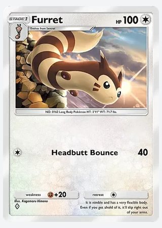 Furret — catalogusbeeld
