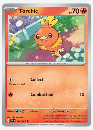 Torchic — catalogusbeeld