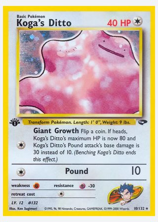 Koga's Ditto — catalogusbeeld