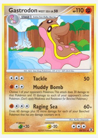 Gastrodon West Sea — catalogusbeeld