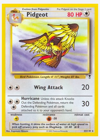 Pidgeot — catalogusbeeld