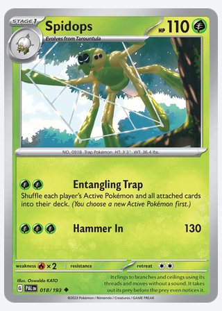 Spidops — catalogusbeeld