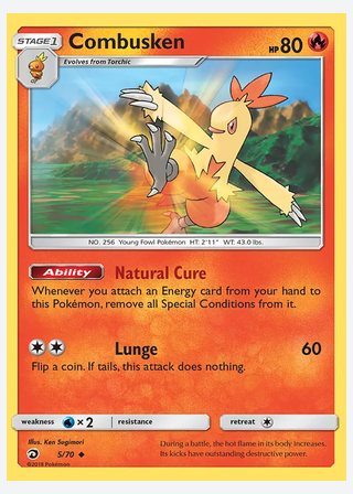 Combusken — catalogusbeeld