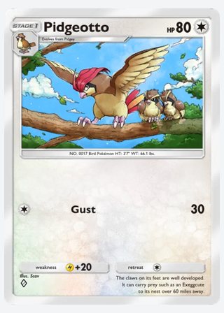 Pidgeotto — catalogusbeeld