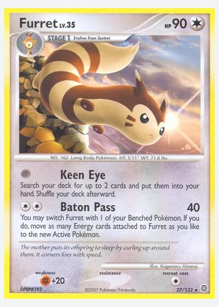 Furret — catalogusbeeld