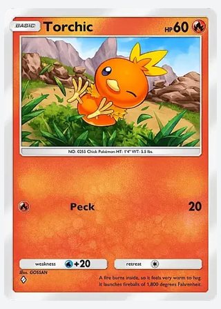 Torchic — catalogusbeeld