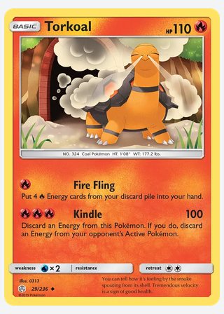 Torkoal — catalogusbeeld