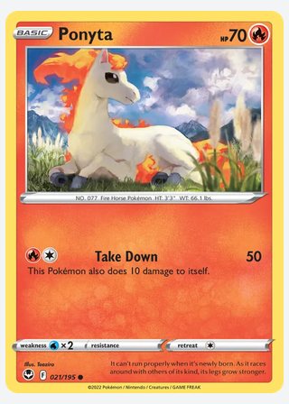 Ponyta — catalogusbeeld