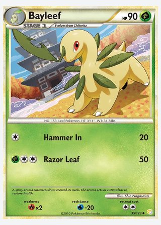Bayleef — catalogusbeeld