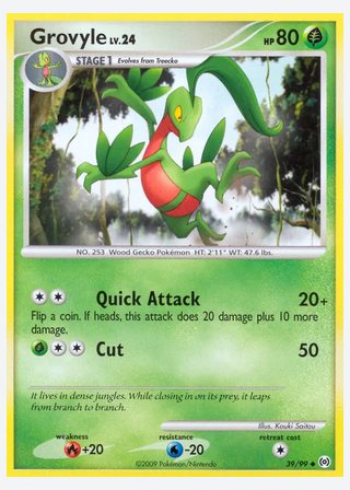 Grovyle — catalogusbeeld