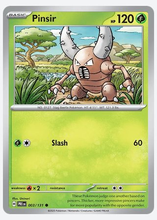 Pinsir — catalogusbeeld