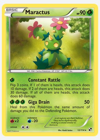Maractus — catalogusbeeld