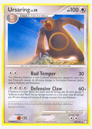 Ursaring — catalogusbeeld