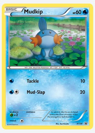 Mudkip — catalogusbeeld