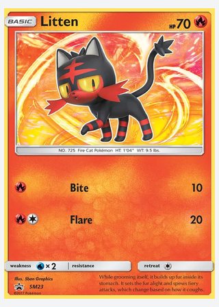 Litten — catalogusbeeld