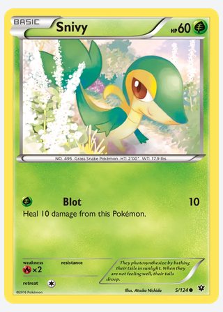 Snivy — catalogusbeeld