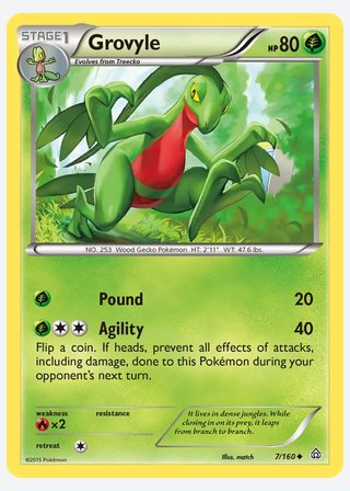 Grovyle — catalogusbeeld