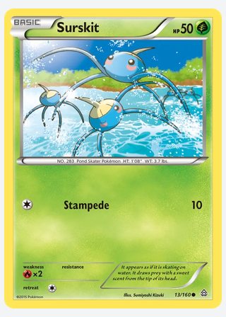 Surskit — catalogusbeeld