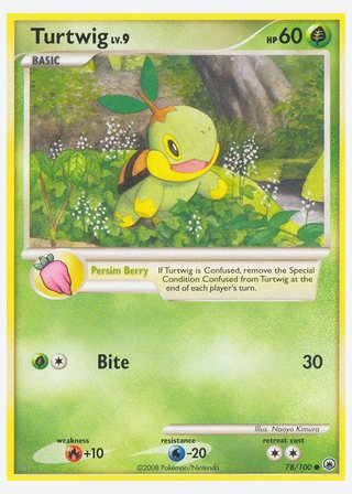 Turtwig — catalogusbeeld