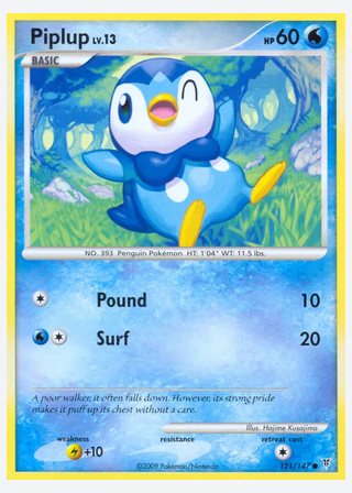 Piplup — catalogusbeeld