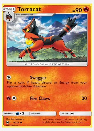 Torracat — catalogusbeeld