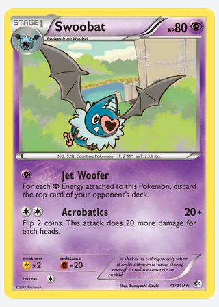 Swoobat — catalogusbeeld