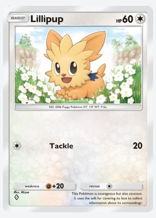 Lillipup — catalogusbeeld