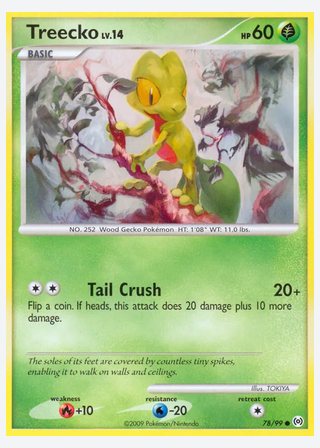 Treecko — catalogusbeeld