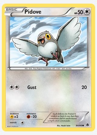 Pidove — catalogusbeeld