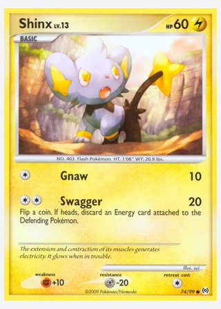 Shinx — catalogusbeeld