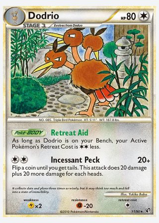 Dodrio — catalogusbeeld