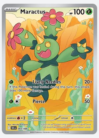 Maractus — catalogusbeeld