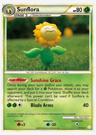 Sunflora — catalogusbeeld