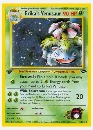 Erika's Venusaur — catalogusbeeld