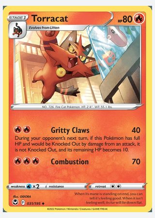 Torracat — catalogusbeeld