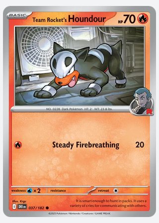 Team Rocket's Houndour — catalogusbeeld