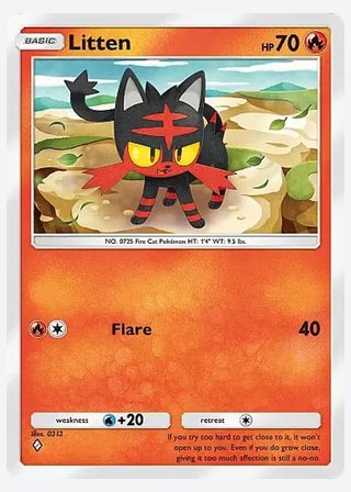 Litten — catalogusbeeld