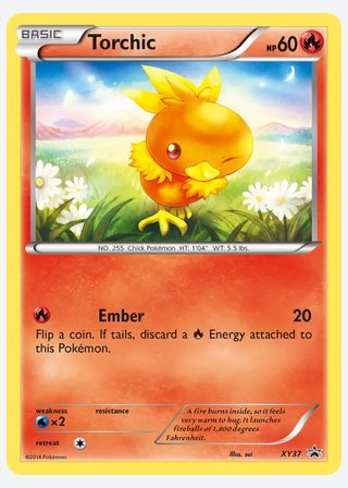 Torchic — catalogusbeeld