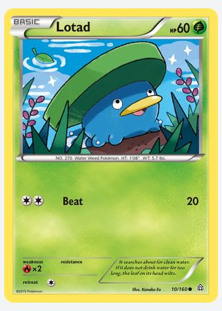 Lotad — catalogusbeeld