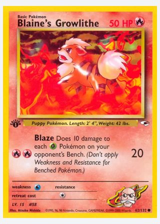 Blaine's Growlithe — catalogusbeeld