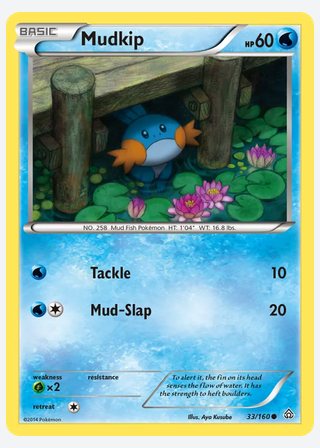Mudkip — catalogusbeeld