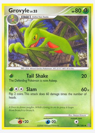 Grovyle — catalogusbeeld