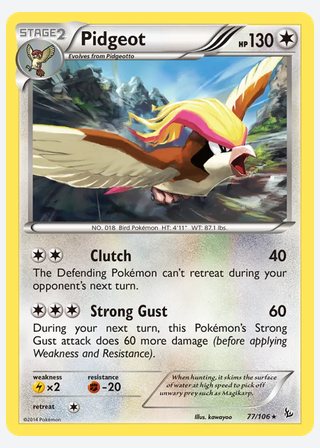 Pidgeot — catalogusbeeld