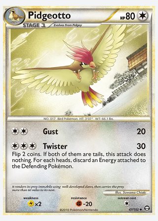 Pidgeotto — catalogusbeeld