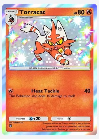 Torracat — catalogusbeeld