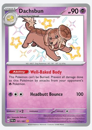 Dachsbun — catalogusbeeld