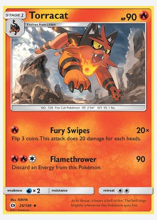 Torracat — catalogusbeeld