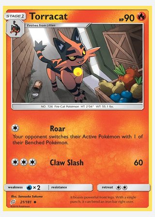 Torracat — catalogusbeeld