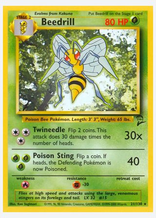 Beedrill — catalogusbeeld