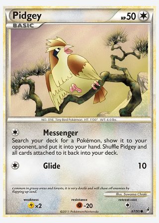 Pidgey — catalogusbeeld